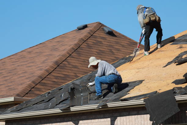Best Roof Maintenance and Cleaning  in Ozark, AL