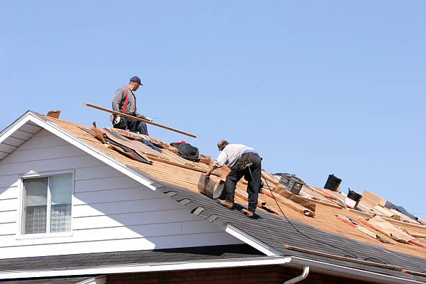 Best Roof Moss and Algae Removal  in Ozark, AL