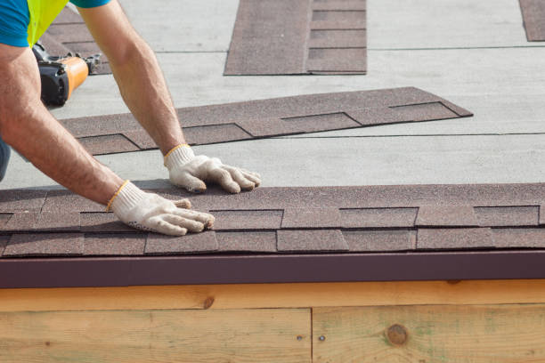 Best Roof Moss and Algae Removal  in Ozark, AL