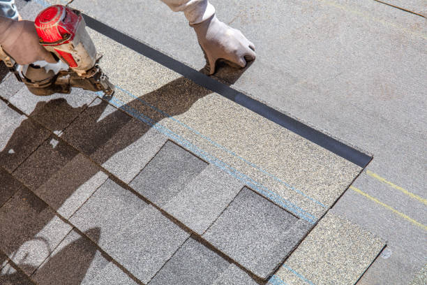 Best Roof Insulation Installation  in Ozark, AL